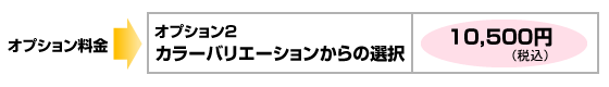 オプション料金　カラーバリエーションからの選択10,500円(税込）