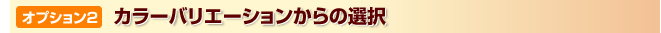 オプション2 カラーバリエーションからの選択